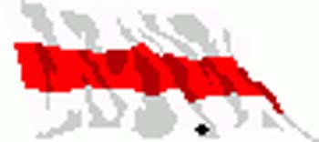 BELARUS2
