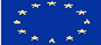 EECFLAG