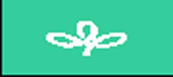 MIYAGI
