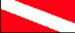 DVNGFLAG